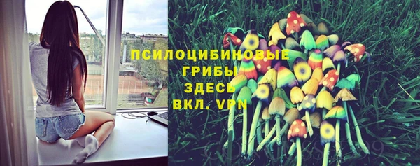 круглые Алексин