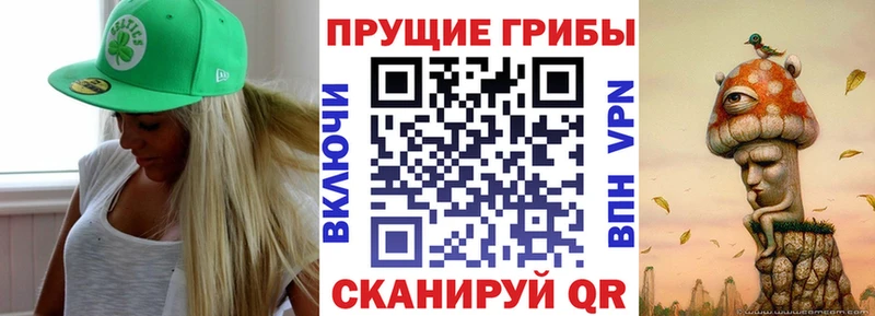 Псилоцибиновые грибы Psilocybe  Белоозёрский 